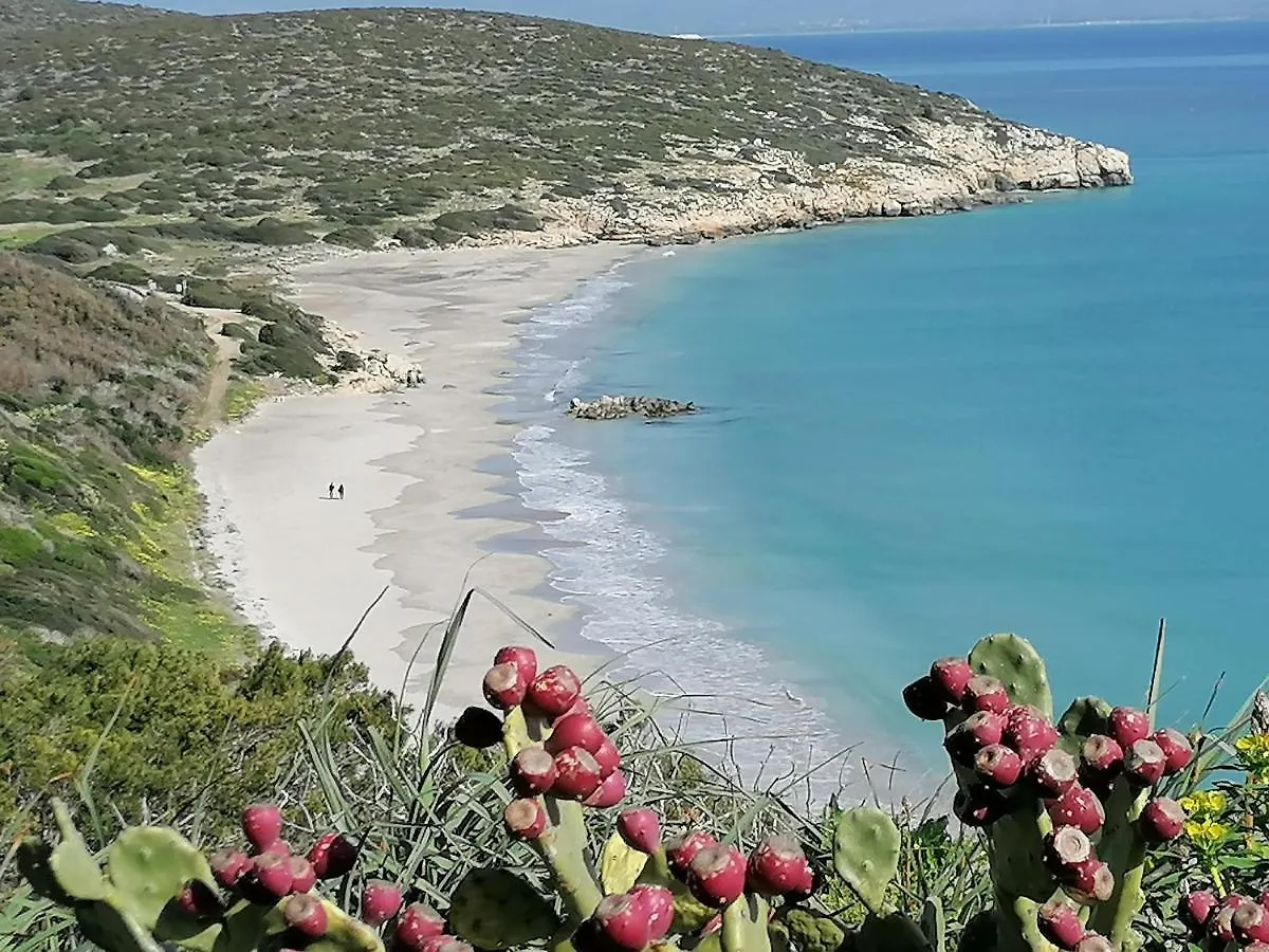 Hotel Il Lentischio Cala Sapone 0*,